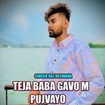 TEJA BABA GAVO M PUJVAYO