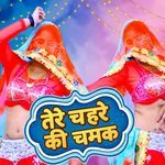 Tere Chahare Ki Chamak