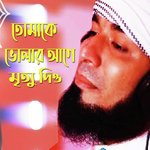 Tomake Vhular Age Mrittu Deo