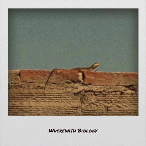 Wherewith Biology cover art