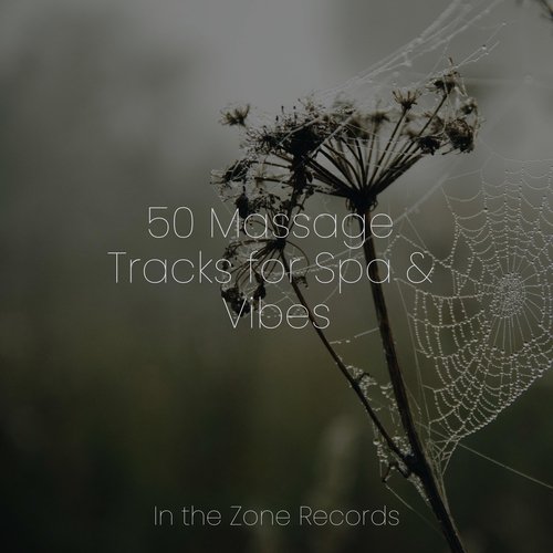 Evening Zephyr cover art