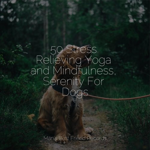 50 Stress Relieving Yoga and Mindfulness, Serenity For Dogs_poster_image