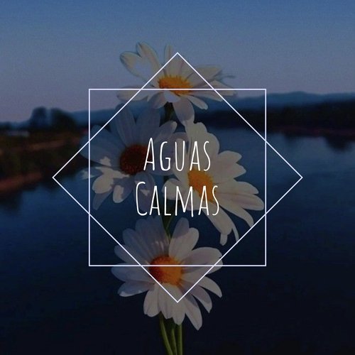 Aguas Calmas cover art