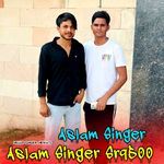 Aslam Singer Sr9500