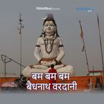 Bam Bam Bam Baidyanath Vardani