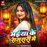 Bhaiya Ke Sasurari  Me