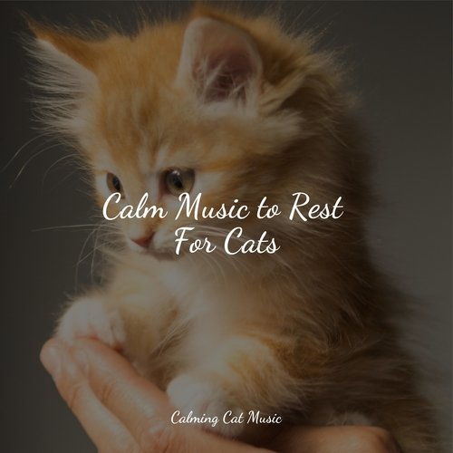 Calm Music to Rest For Cats