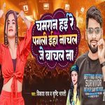 Chamaran Hayi Re Pagali Eha Nachal Je Bachal Na