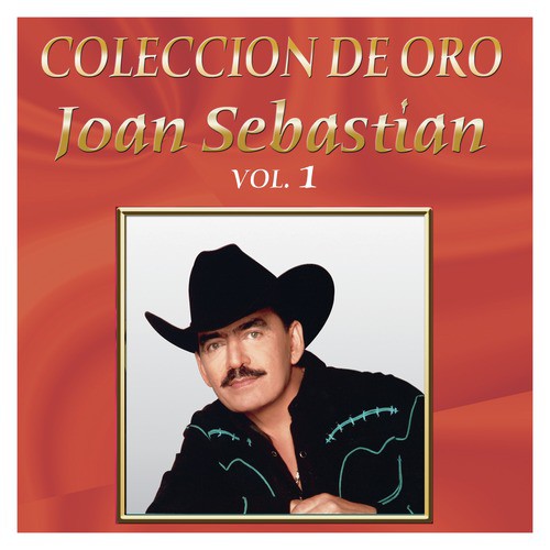 aunque-ya-tengas-marido-lyrics-joan-sebastian-only-on-jiosaavn