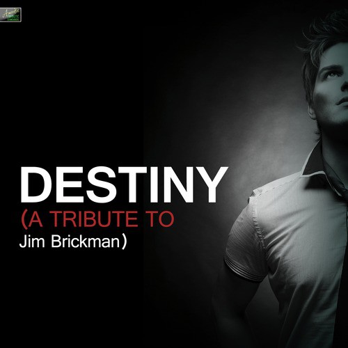 Destiny (A Tribute to Jim Brickman) cover art