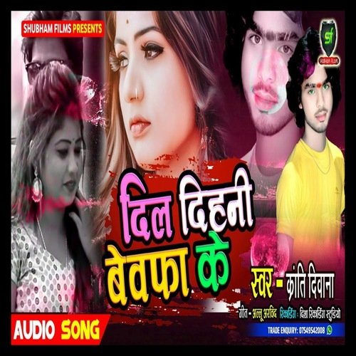 Dil Dihani Bebafa Ke