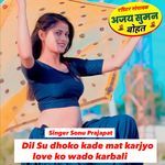 Dil Su dhoko kade mat karjyo love ko wado karbali