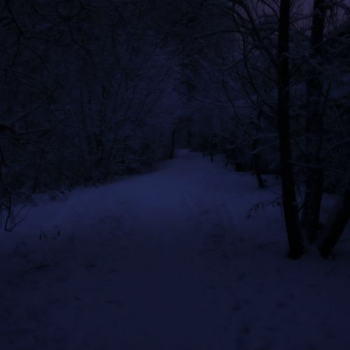 Echoes of Nowhere