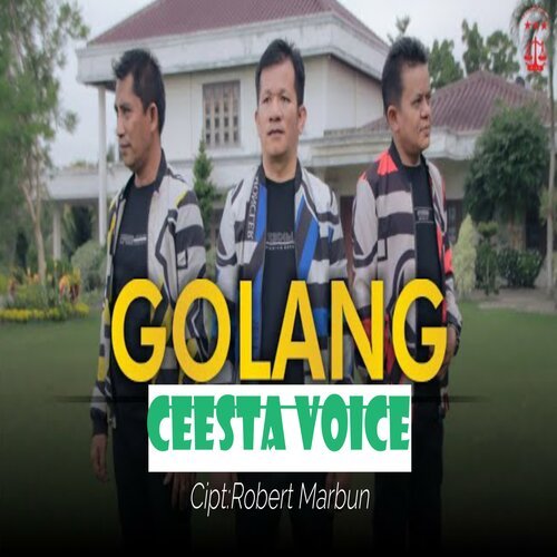 GOLANG (VOL.1) cover art