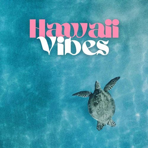 Hawaii Vibes