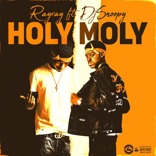 Holy Moly_poster_image