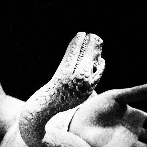 IT. HAPPENS. ALL. THE. TIME