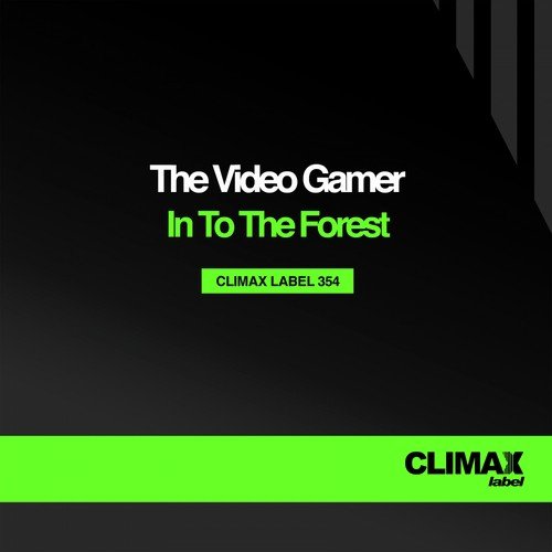 The Video Gamer