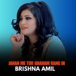 Janan Me Tor Ghanam Rang Di