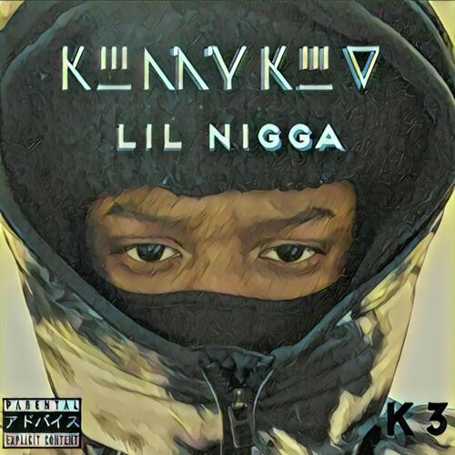 LIL NIGGA cover art