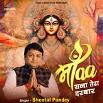 Maa Sachcha Tera Darbar artwork