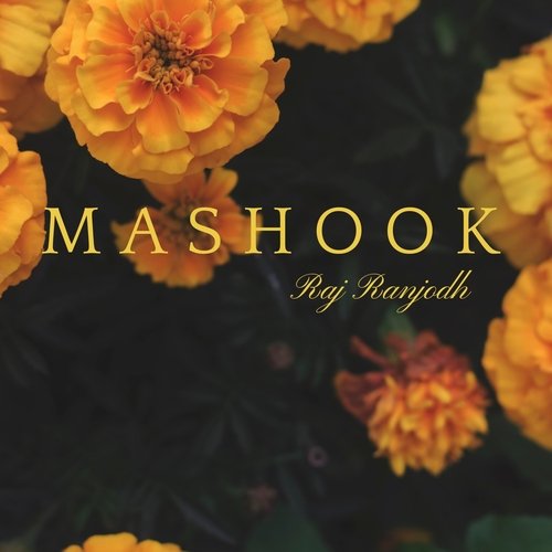 Mashook