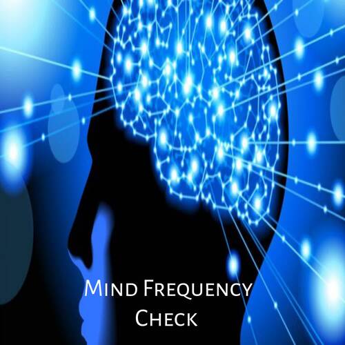 Mind Frequency Check Track 7