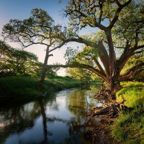 Music For Calm Reflections