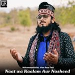 Agar tum gor se mere nabi ki