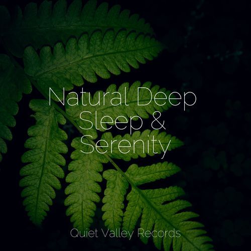 Natural Deep Sleep & Serenity