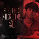 Pucho mere Dil Se