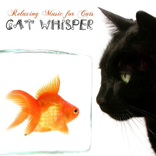 Cat Whisper