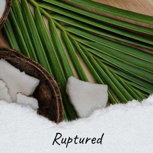 Rubio cover art