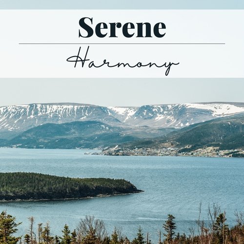 Serene Harmony: Mindful Melodies for Anxiety Relief & Inner Peace