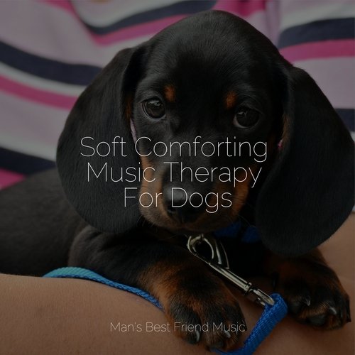 Sleepy Head cover art