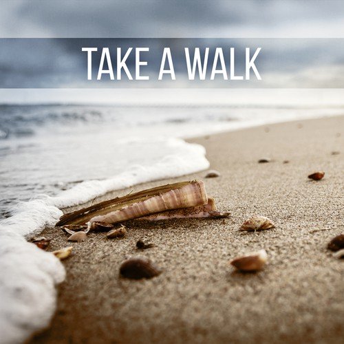Take a Walk - Nature Sounds to Chill Out, Yoga & Tai Chi Deep Relaxation