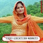 Teri location Mewati