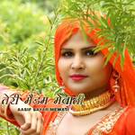 Teri Maidam Mewati artwork