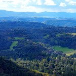 Cells of the Ancient Leopard
