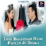 Toke Bhalobasi Hami Paoulo Je Dhoka