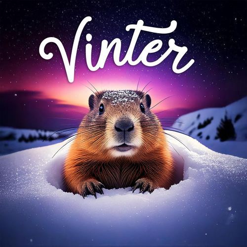 Anton cover art