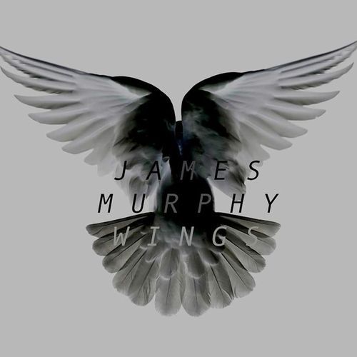 Wings
