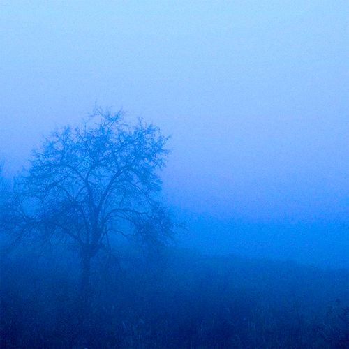 shadow horizons