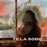 te la sobo artwork