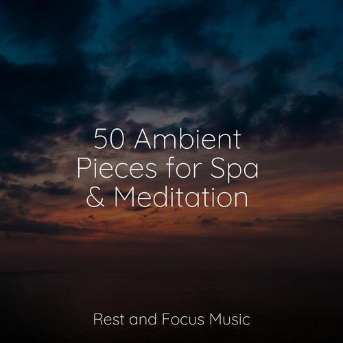 50 Ambient Pieces for Spa &amp; Meditation_poster_image