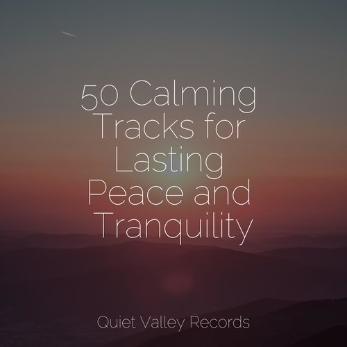 50 Calming Tracks for Lasting Peace and Tranquility_poster_image