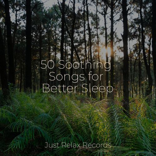 50 Soothing Songs for Better Sleep_poster_image