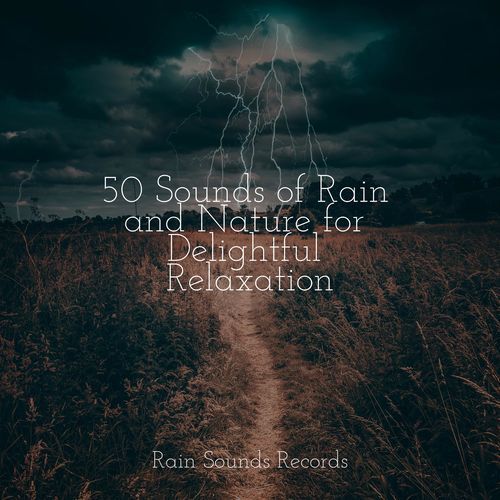 50 Sounds of Rain and Nature for Delightful Relaxation_poster_image