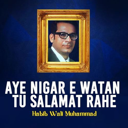 Aye Nigar E Watan Tu Salamat Rahe