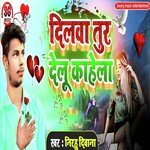 Dilwa Tur Delu Kahela